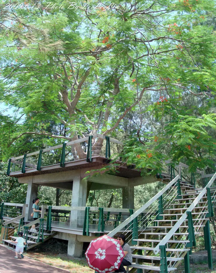 
台東景點。黑森林公園~琵琶湖
