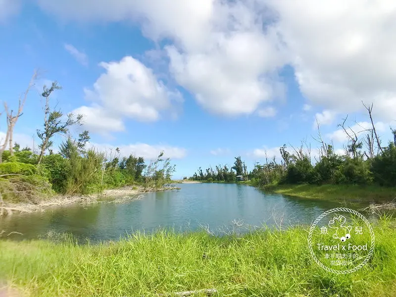 【遊】台東森林公園（琵琶湖、海濱公園），絕美自行車道，騎車觀景好悠閒～ @ 魚兒 x 牽手明太子的「視」界旅行