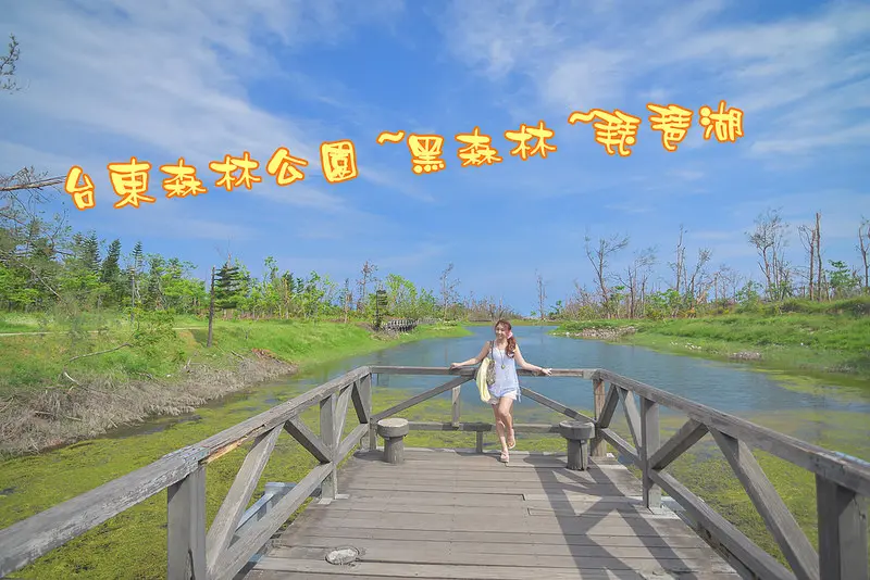 【台東景點】台東森林公園/黑森林/琵琶湖/單車悠遊行~綠意盎然的森林公園