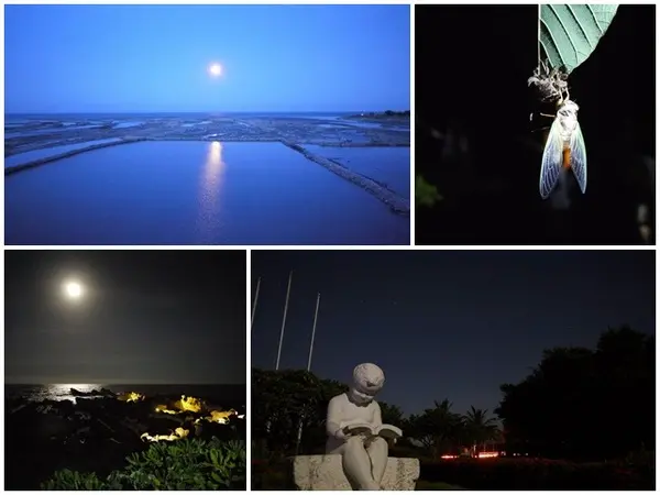 台東景點 夜訪小野柳 探尋月色海浪與星空～阿一一台東熱汽球之旅        
      