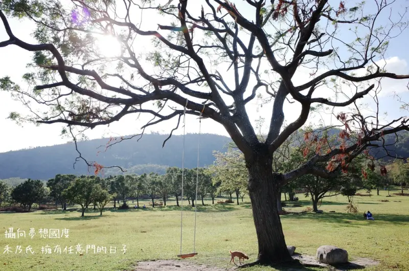 【台東TAITUNG－卑南文化公園Beinan Cultural Park】禾乃氏－擁有任意門的日子：來台東玩吧！漫步遼闊大草原、溜狗、野餐，吸收陽光芬多精