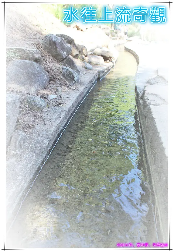//台東景點//水往上流奇觀。在力爭上游的水，道底為何會這樣呢?好奇的您請繼續看下去
