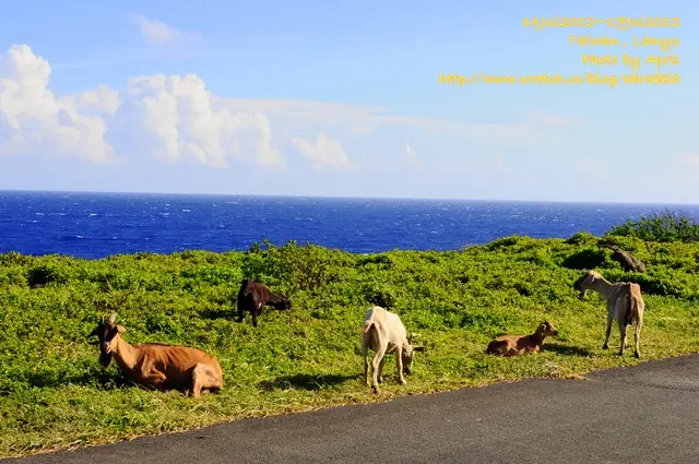 蘭嶼初體驗-蘭嶼探險與奇岩怪石