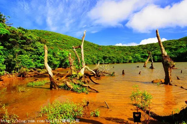 【跳島。蘭嶼】勇闖大天池。神秘低調的高山之海