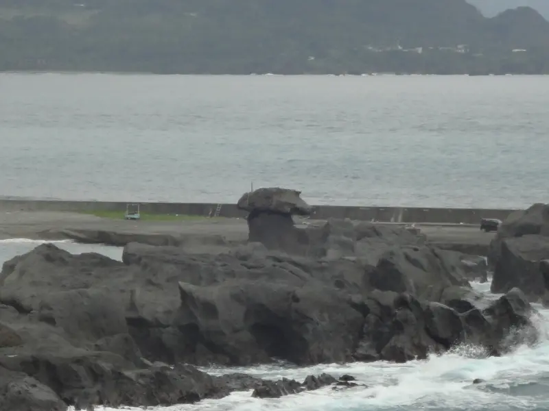 1020120[禮官三小愛台灣]石雨傘下雨天不用撐傘讓大自然幫您撐傘