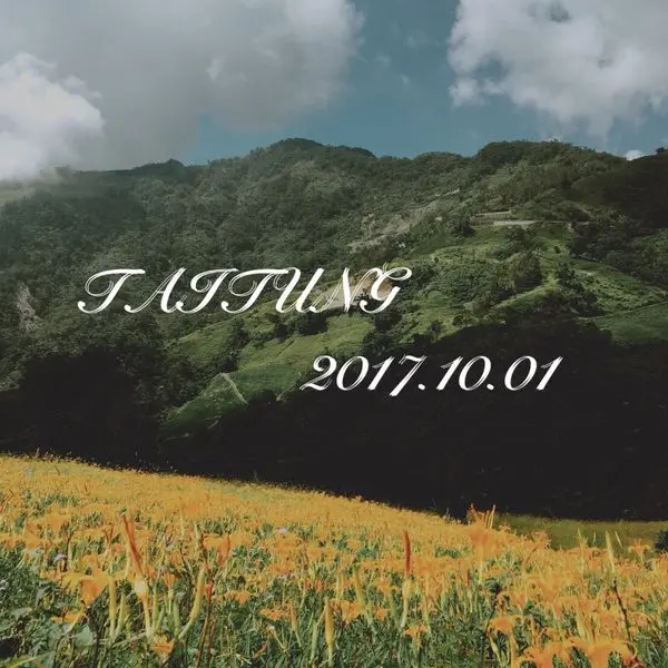 台東一日遊｜2017金針花海、太麻里平交道、多良車站