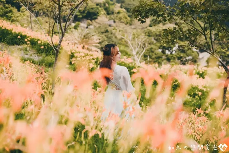 【台東旅遊／景點】迎曦樓&孟宗竹林步道｜舒爽清雅氛圍超愜意，一次造訪多個自然美景｜台東太麻里金針山必去景點