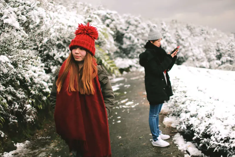 台北的雪後散步