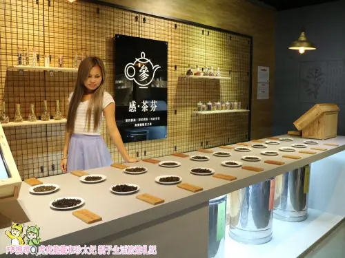 坪林茶業博物館||茶飄香的文青茶房🔹親子AR科技互動!