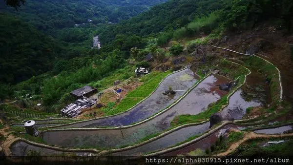 【Tw】坪頂古圳親山步道｜造訪三條百年古圳，再沿大崎頭步道賞梯田去