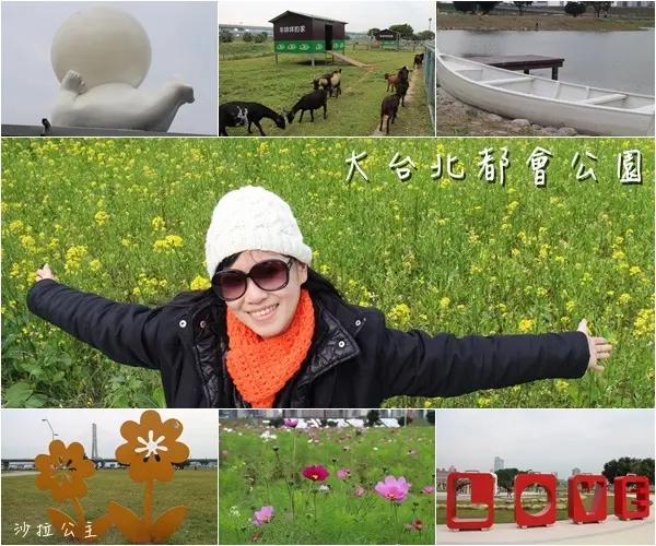 我到新北‧三重餵羊去/油菜花田/大台北都會公園(幸福水漾公園&親水公園)
