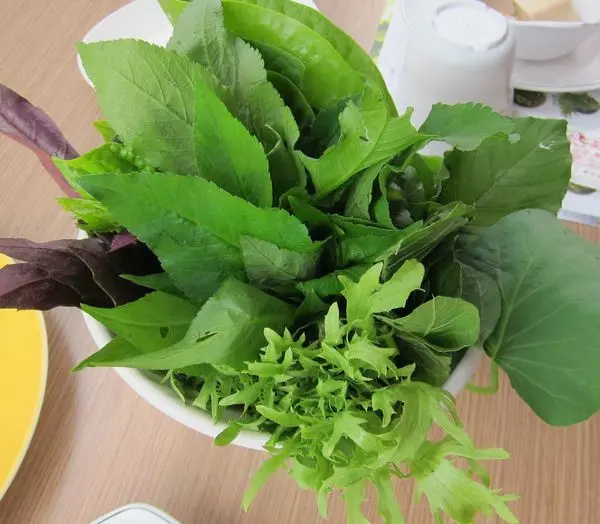 府城藝術轉角蔬食鍋~健康鍋