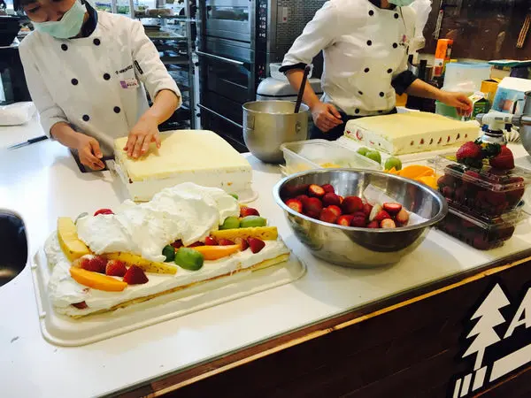 ［台北。市政府］來自日本的Arrow Tree台灣亞羅珠麗