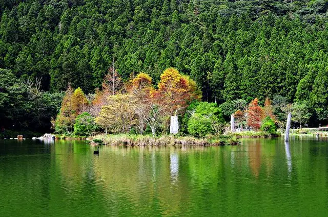 
夢幻仙境~明池國家森林遊樂區
