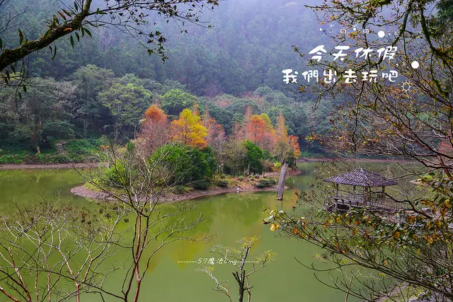 [ 宜蘭⊙大同]明池國家森林遊樂區。冬季。彷彿走入煙霧飄緲的大自然