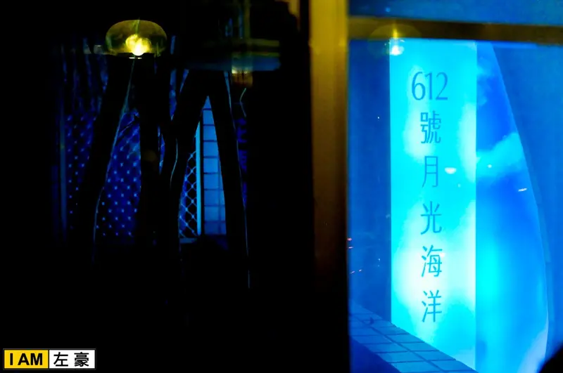 [食記] 高雄。三民區 612號月光海洋 咖啡館