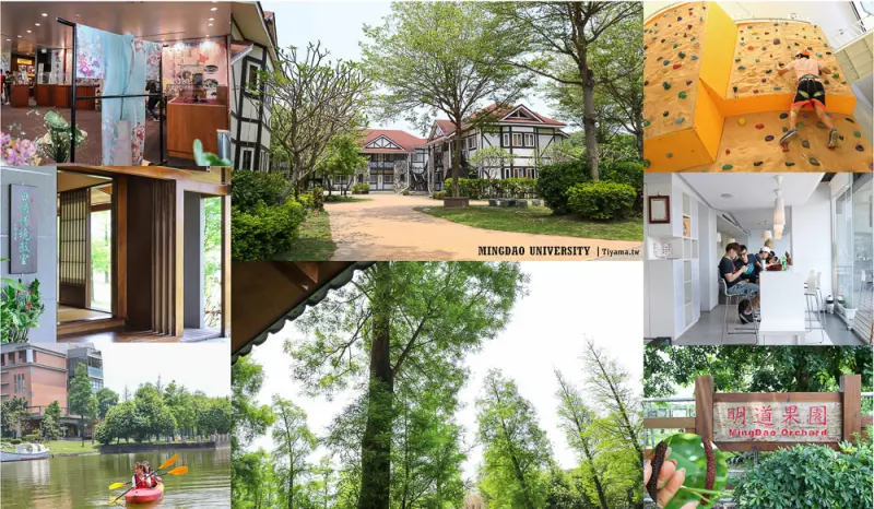 彰化秘境景點|明道大學好好玩！落羽松、日式和室、莊園度假木屋、明道果園、獨木舟、攀岩，北斗美食吃不停！彰化一日遊 - 緹雅瑪 美食旅遊趣