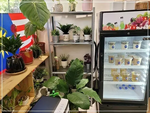 台中市北區【北區】 麻坡郎南洋風味小館｜台中咖哩叻沙的天花板，感受道地南洋滋味！