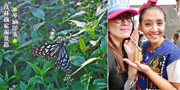 高雄茂林多納部落這樣玩～茂林國家風景區 茂林紫斑蝶、文化洗禮、多納高吊橋、龍頭山、得恩谷民宿