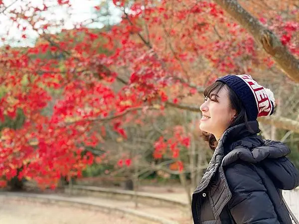 台中武陵農場：一年四季風景不打烊，武陵四秀賞櫻賞楓賞花好景點│繡球花、金針花、銀杏、落羽松、楓葉紅、桃花、梅花、雪景、雪霸國家公園【附地圖】