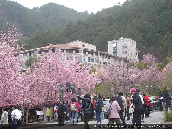 遊記----武陵農場(4)