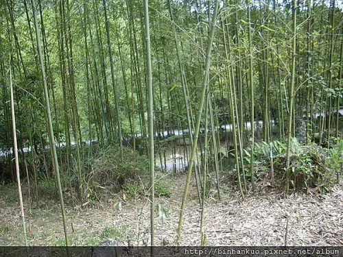 遊記----武陵農場(第二次)(10)