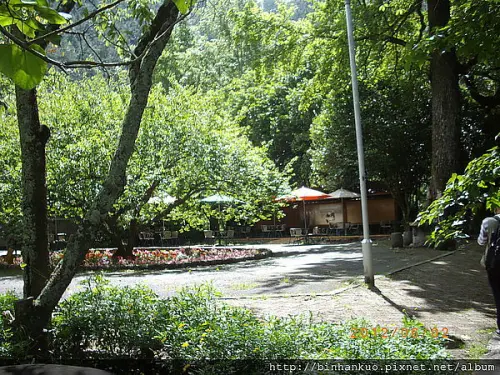 遊記---武陵農場(第二次)(14)