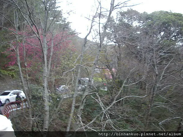 遊記----武陵農場(1)