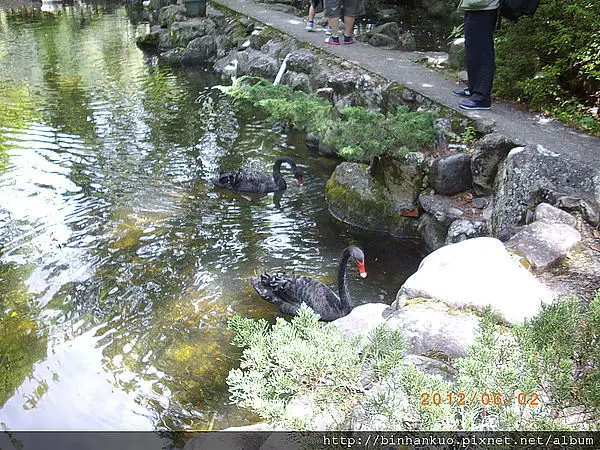 遊記---武陵農場(第二次)(13)