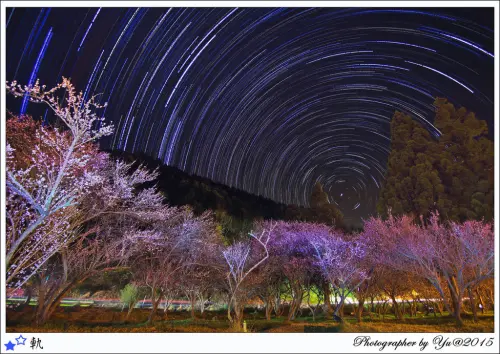 [賞花]【台中市和平區】武陵農場梅花季。紅梅白梅齊綻放~星軌~星空浩瀚美景
