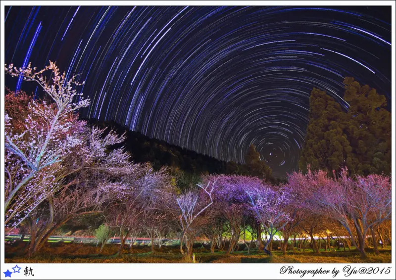 [賞花]【台中市和平區】武陵農場梅花季。紅梅白梅齊綻放~星軌~星空浩瀚美景