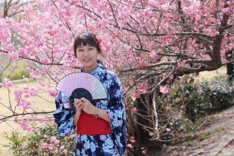 台中景點武陵一日遊，武陵農場櫻花季｜穿和服賞櫻花門票住宿露營交通賞花資訊(懶人包) - Kiwi 樂活食旅