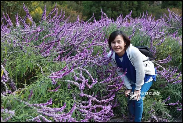 武陵農場秋天景色&桃山瀑布