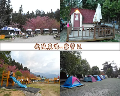 【台中】武陵農場-露營區
