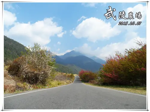 【台中】武陵農場。一泊二食-二日遊