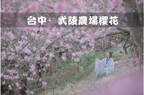 【台中旅遊/景點】武陵農場櫻花季｜漢服結合台中絕美櫻花聖地｜不用到日本就能享受櫻花盛宴！