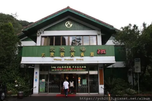 夏遊武陵農場，登雪山東峰前住露營區小木屋，賞繡球花廊