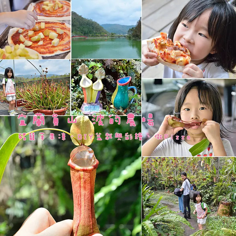 宜蘭員山:波的農場吃豬籠草果凍,盆栽與彩繪,DIY作PIZZA