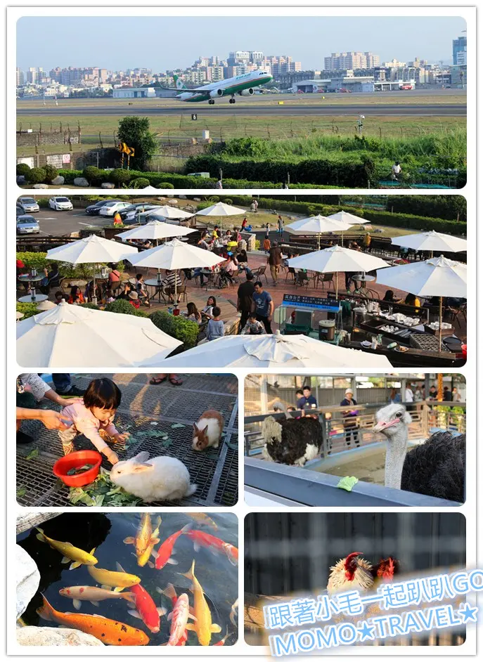 高雄旅遊-天空之城休閒農場 讓我們