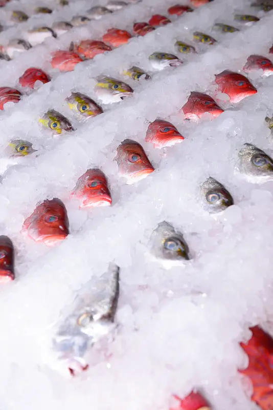 ◈高雄◈ⓜ文進活海產ⓜ