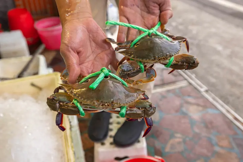 鮮滿樓海鮮料理｜萬里美食推薦｜萬里海鮮餐廳推薦
