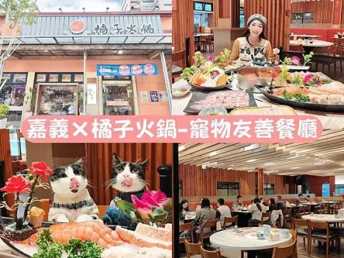 🍴〔餐廳×嘉義〕橘子火鍋 | 南部最強麻辣火鍋，高CP值超人氣鴛鴦鍋，寵物友善包廂，飲料冰品無限暢飲~