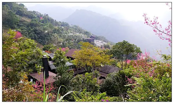 【新北三峽區】賞櫻不用人擠人(2/2花況)~遠離塵囂．坐擁群山．品嘗美食－♥花岩山林－民宿．餐飲．下午茶♥