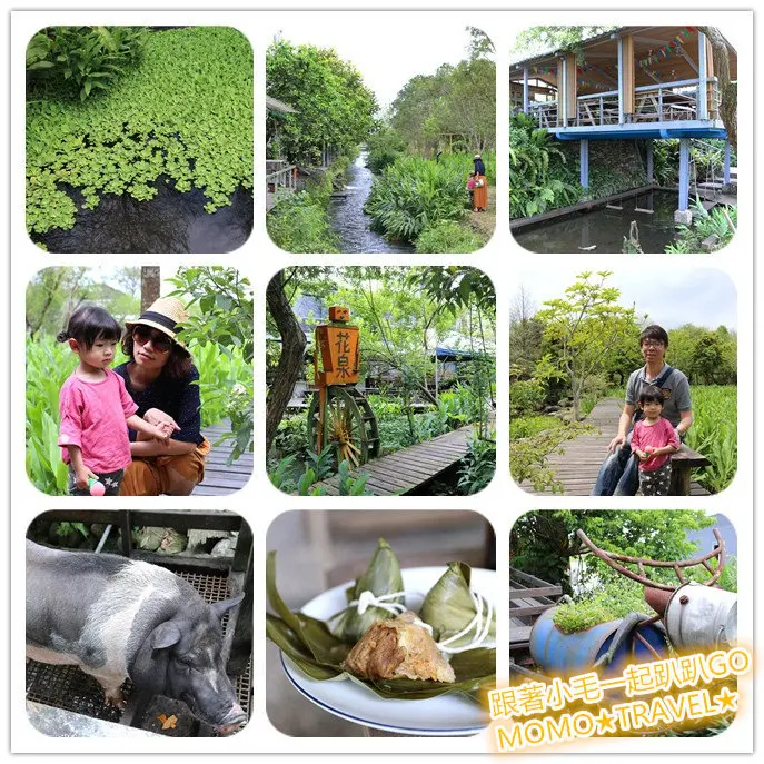 宜蘭美食-花泉休閒農場 花園丨餵魚丨動物丨盪鞦韆丨戲水池 森林系親子農場