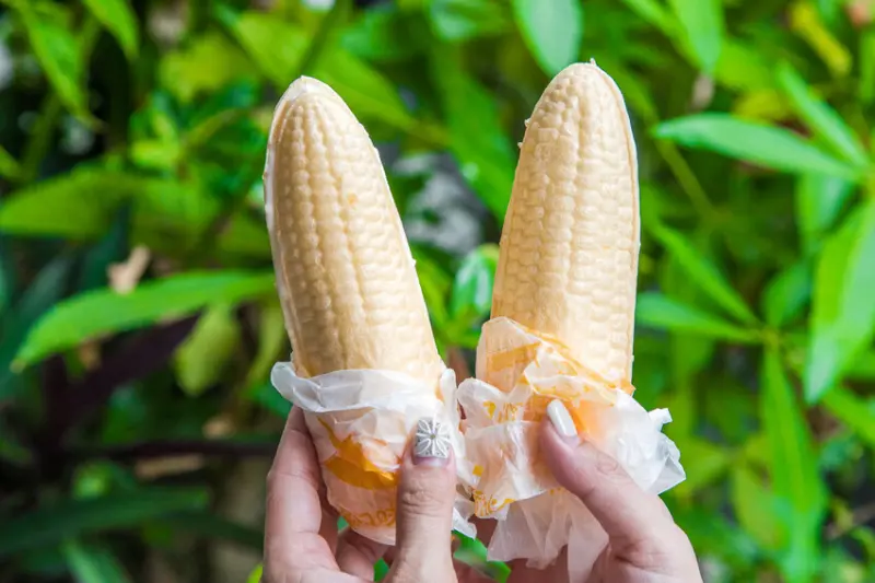 台南市善化區立大冰城｜現在還有這個！？古早味玉米冰這裡有賣！視覺價格都超可愛