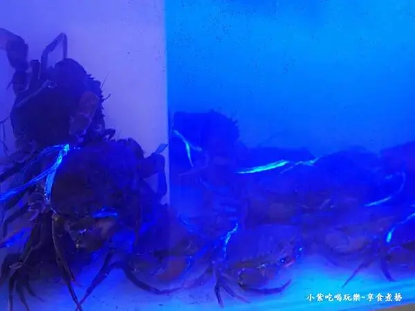 每日限量紅蟳-大紅蕃薑母鴨羅東旗艦店 (1).jpg