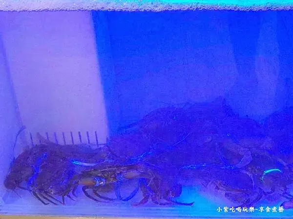 每日限量紅蟳-大紅蕃薑母鴨羅東旗艦店 (3).jpg