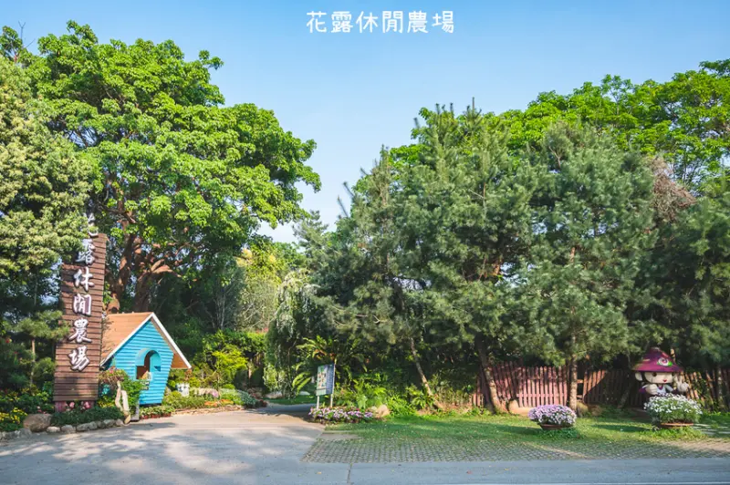 ｜苗栗景點｜花露休閒農場，繡球花季登場，精油城堡、夢幻小花屋和隱藏版恐龍蛋都超好拍 - Hallo！Im 婷兒