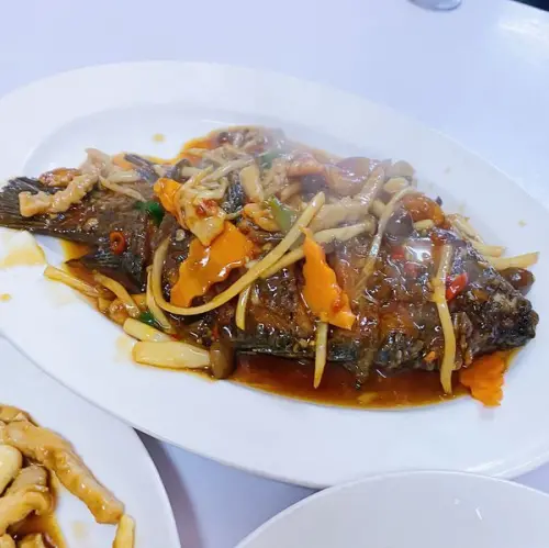 [台北台式]中正區善導寺站「和園川味小吃」經濟實惠大份量的80元合菜便當/人潮絡繹不絕的好味道/口味親民的好滋味/附菜單