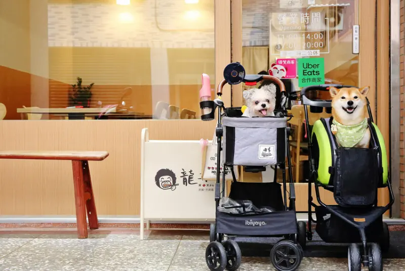 淡水平價丼飯、日式炸天婦羅推薦！隱藏版超人氣浮誇丼飯！19種